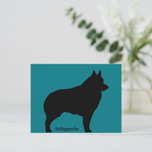 Silhouette Schipperke Postkarte (Stehend Vorderseite)