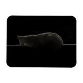 Silhouette Schlafkatze Magnet (Horizontal)