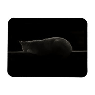 Silhouette Schlafkatze Magnet