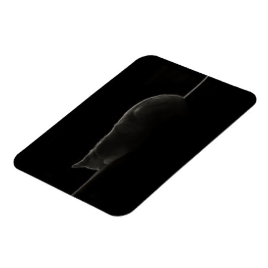 Silhouette Schlafkatze Magnet (Linke Seite)