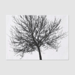 Silhouette Seidenpapier