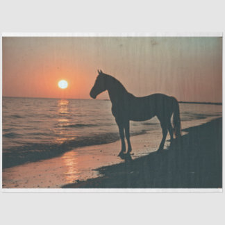 Silhouette Sonnenuntergang am Meer Seidenpapier