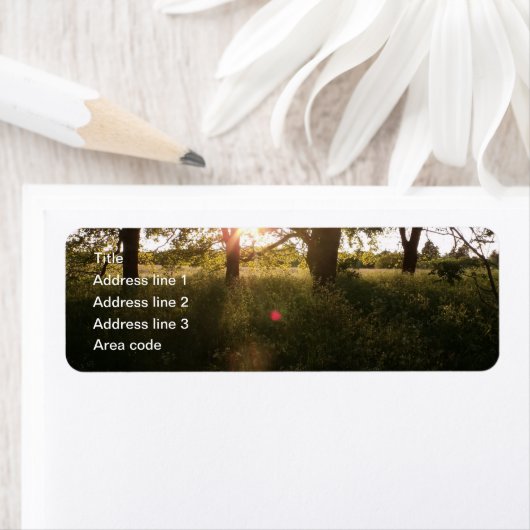 Silhouette Trees & Sunlight Wedding Address Labels (Insitu)