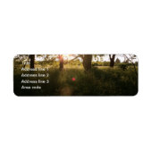 Silhouette Trees & Sunlight Wedding Address Labels (Vorne)