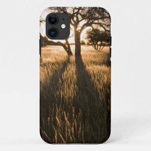 Silhouette von Acacia-Bäumen im Gras. Mariant Case-Mate iPhone Hülle