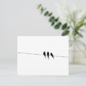 Silhouette von Blackbirds auf Wire Postkarte (Stehend Vorderseite)