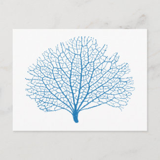 Silhouette von Blaumeerkorallen Postkarte