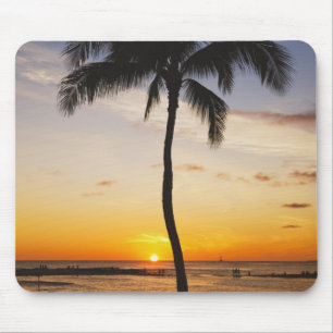 Silhouette von einer Palme durch einen roten Mousepad