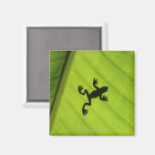 Silhouette von Frosch durch Bananenblatt Magnet (Vorderseite/Rückseite)