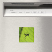 Silhouette von Frosch durch Bananenblatt Magnet (In Situ (Geschirrspüler))