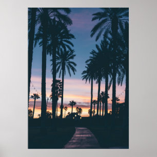 Silhouette von Häusern neben Palmen und Alleen Poster