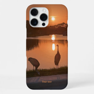 Silhouette von Sandhügeln-Kranichen bei Sonnenunte iPhone 16 Pro Max Hülle