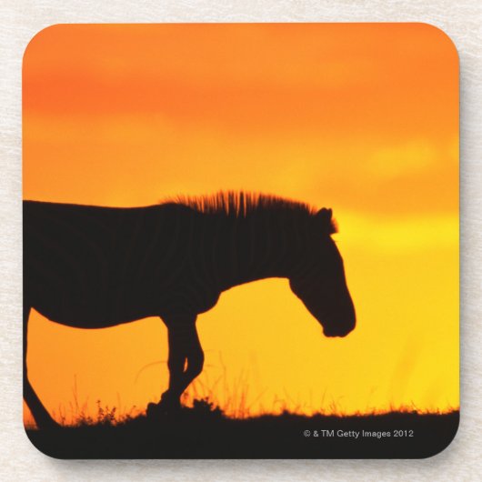 Silhouette von Zebra auf Savanne Getränkeuntersetzer (Vorderseite)
