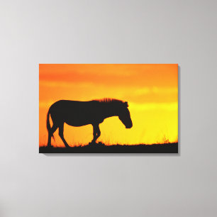 Silhouette von Zebra auf Savanne Leinwanddruck