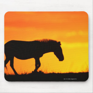 Silhouette von Zebra auf Savanne Mousepad
