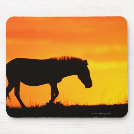 Silhouette von Zebra auf Savanne Mousepad (Vorne)