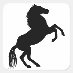 Silhouette von Zuchtpferden Quadratischer Aufkleber