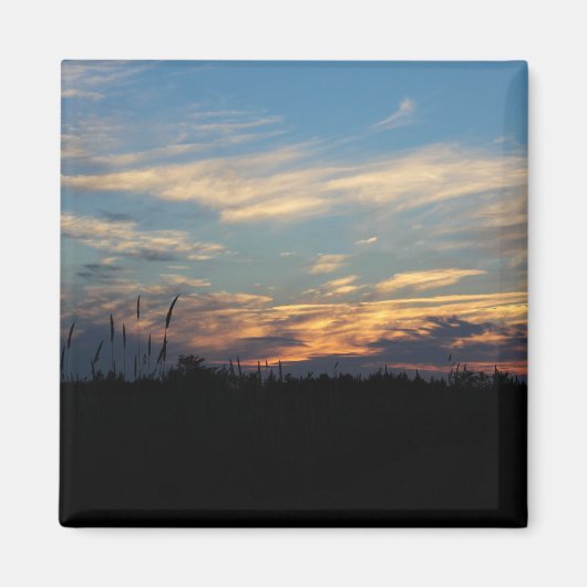 Silhouette-Wand der Natur Magnet (Vorne)