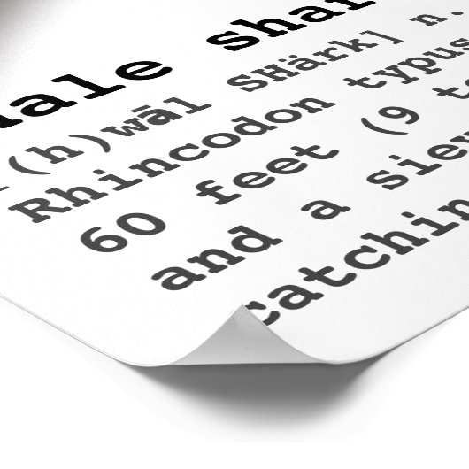 Silhouette Whale Shark mit Definition Beach Poster (Ecke)