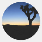 Silhouetted Joshua Tree Runder Aufkleber (Vorderseite)