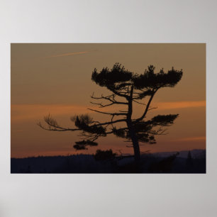 Silhouetten in der Abenddämmerung Poster