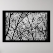 Silhouetten Poster (Vorne)