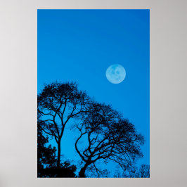 Silhouetten und Vollmond Poster