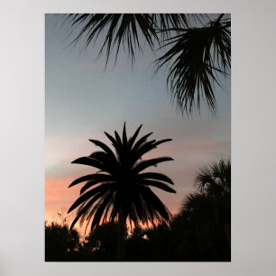 Silhouetten von Palmfronten bei Sonnenuntergang Poster