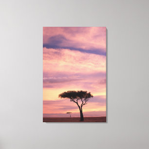 Silhouettenbild eines Akazienbaums bei Sonnenaufga Leinwanddruck
