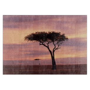 Silhouettenbild eines Akazienbaums bei Sonnenaufga Schneidebrett