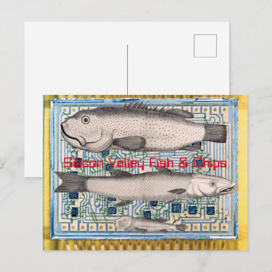 Silicon Valley Fish and Chips Postkarte (Vorne/Hinten)