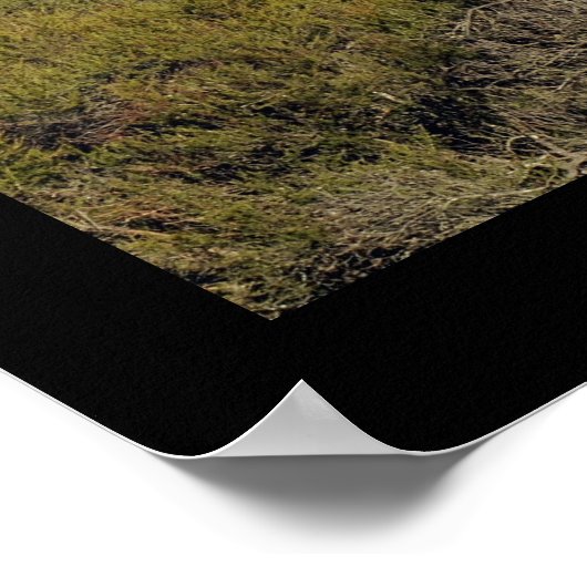 Silicon Valley Panoramasicht Druck Poster (Ecke)