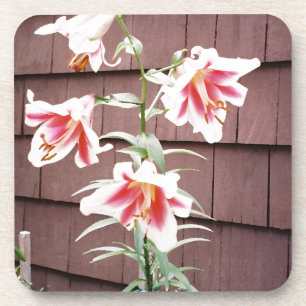 Silk Road Lily Getränkeuntersetzer