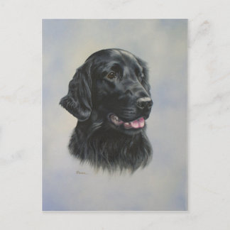 Silka Postkarte