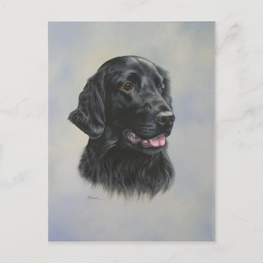 Silka Postkarte (Vorderseite)