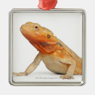 Drachen Weihnachtschmuck Zazzle De