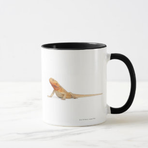 SilkBacks scaleless bärtiger Drache - Pogona Tasse