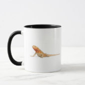 SilkBacks scaleless bärtiger Drache - Pogona Tasse (Links)