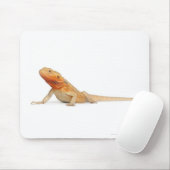 SilkBacks skalenloser Bartdrache - Pogona Mousepad (Mit Mouse)
