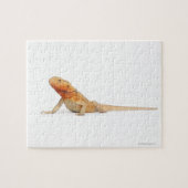 SilkBacks skalenloser Bartdrache - Pogona Puzzle (Horizontal)