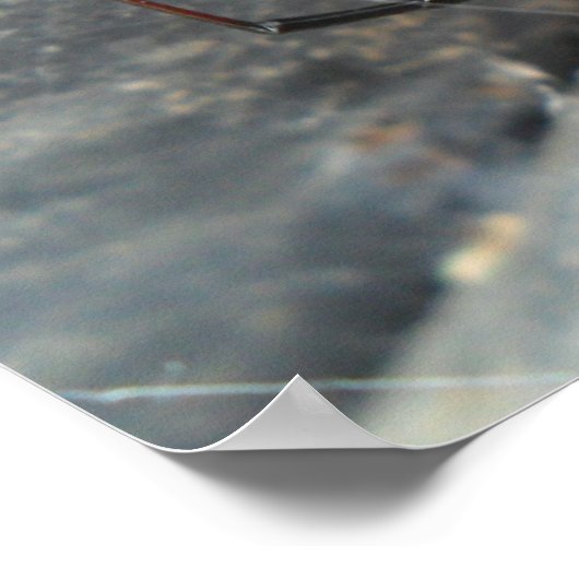 Silken Strands Poster (Ecke)