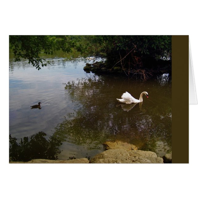 Silken Swan Card (Vorderseite (Horizontal))