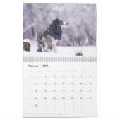 Silken Windhounds 2021 - alle bedruckt Kalender (Feb 2027)