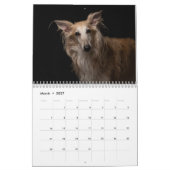 Silken Windhounds 2021 Erwachsene 1 Kalender (Mär 2027)