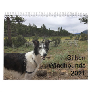 Silken Windhounds 2021 Erwachsene 1 Kalender