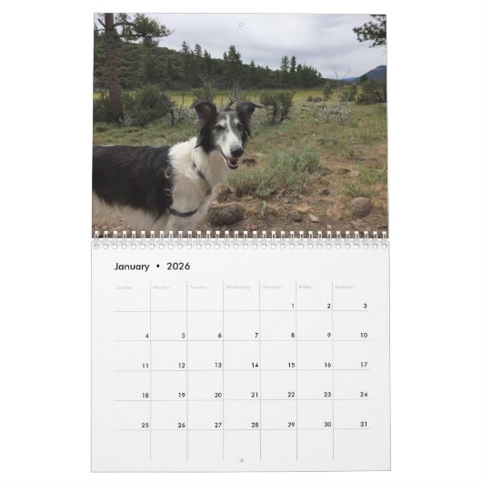 Silken Windhounds 2021 Erwachsene 1 Kalender (Jan 2026)