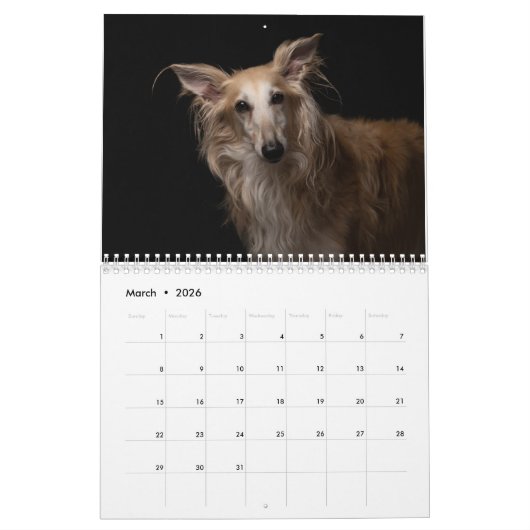 Silken Windhounds 2021 Erwachsene 1 Kalender (Mär 2026)