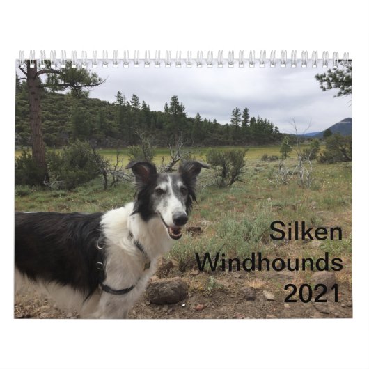 Silken Windhounds 2021 Erwachsene 1 Kalender (Titelbild)