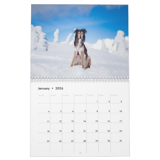 Silken Windhounds 2021 Erwachsene 2 Kalender (Jan 2026)