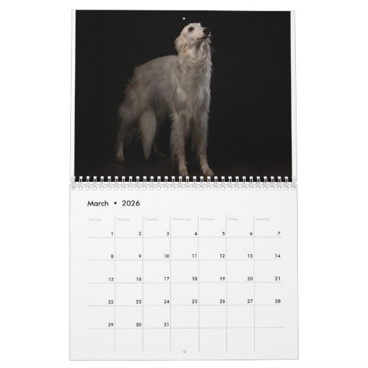 Silken Windhounds 2021 Erwachsene 2 Kalender (Mär 2026)